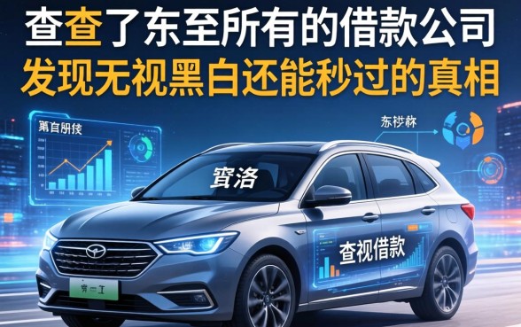 我查了东至所有的借款公司，发现无视黑白还能秒过的真相