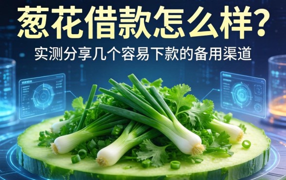 葱花借款怎么样？实测分享几个容易下款的备用渠道