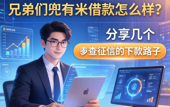 兄弟们兜有米借款怎么样？分享几个不查征信的下款路子