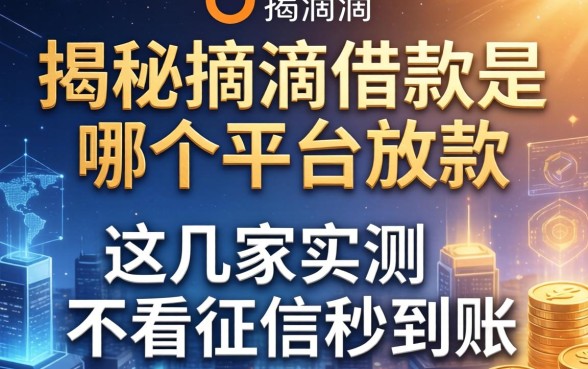 揭秘滴滴借款是哪个平台放款，这几家实测不看征信秒到账