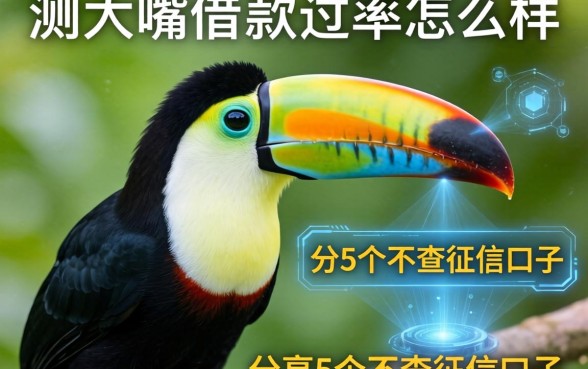 实测大嘴鸟借款通过率怎么样，附带分享5个不查征信的口子