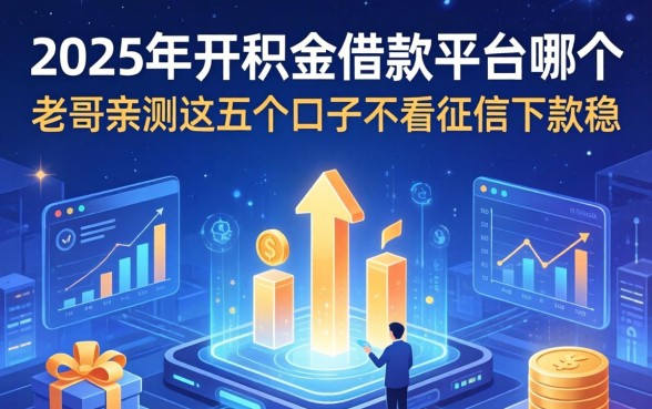 2025年公积金借款平台是哪个？老哥亲测这五个口子不看征信下款稳