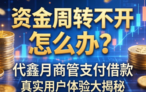 资金周转不开怎么办？代鑫月商管支付借款怎么样？真实用户体验大揭秘