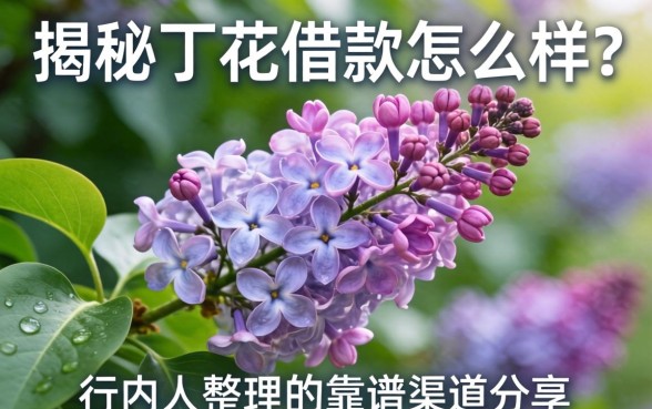 揭秘丁香花借款怎么样？行内人整理的靠谱渠道分享