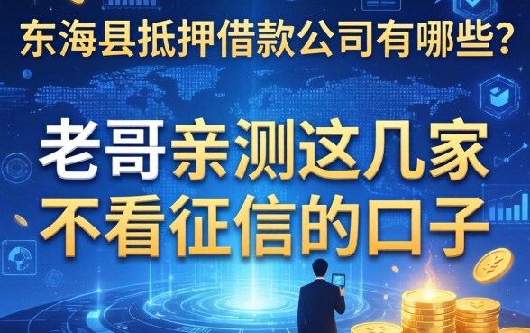 东海县抵押借款公司有哪些？老哥亲测这几家不看征信的口子