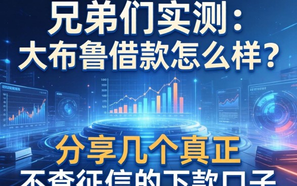 兄弟们实测：大布鲁借款怎么样？分享几个真正不查征信的下款口子