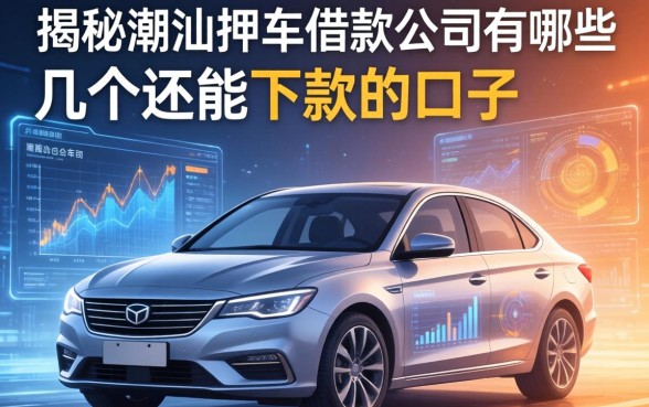 揭秘潮汕押车借款公司有哪些，整理了几个还能下款的口子