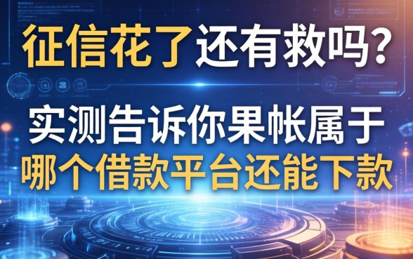 征信花了还有救吗？实测告诉你呆帐属于哪个借款平台还能下款