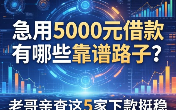 急用5000元借款有哪些靠谱路子？老哥亲测这5家下款挺稳