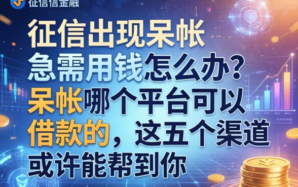 征信出现呆账急需用钱怎么办？呆帐哪个平台可以借款的，这五个渠道或许能帮到你