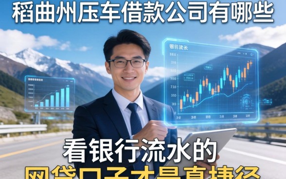 我翻遍了稻城县压车借款公司有哪些，发现看银行流水的网贷口子才是真捷径