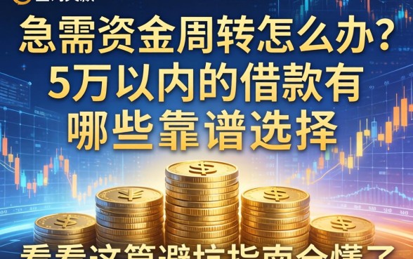 急需资金周转怎么办？5万以内的借款有哪些靠谱选择？看完这篇避坑指南全懂了
