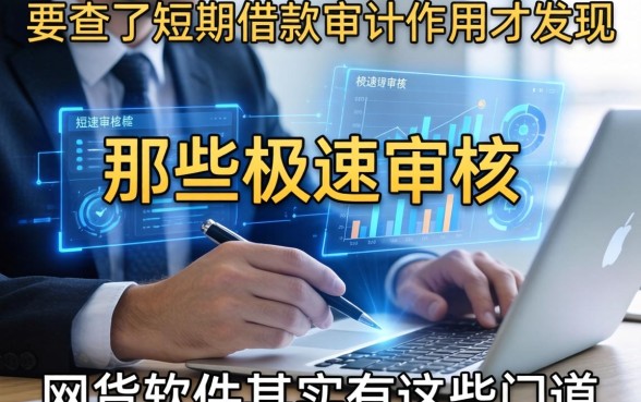 我查了短期借款审计作用才发现,那些极速审核的网贷软件其实有这些门道