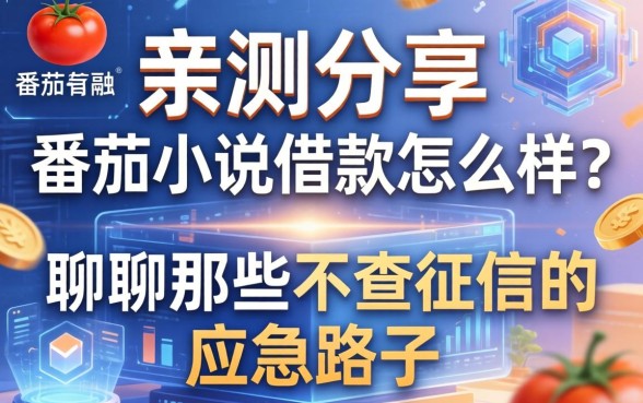 亲测分享：番茄小说借款怎么样？聊聊那些不查征信的应急路子