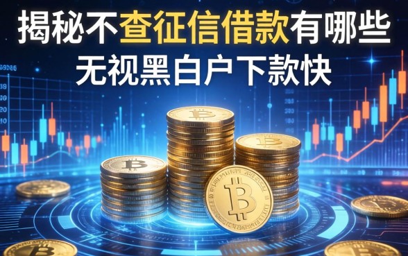揭秘不查征信借款的有哪些，无视黑白户下款快