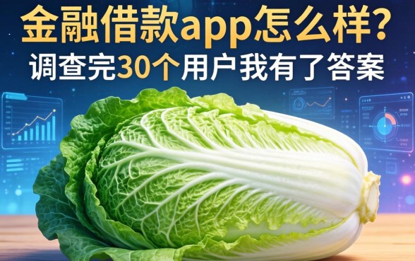 白菜借款app怎么样？调查完30个用户我有了答案