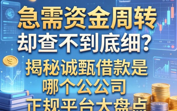 急需资金周转却查不到底细？揭秘诚甄借款是哪个公司的，正规平台大盘点