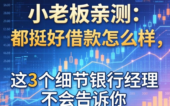 小老板亲测：都挺好借款怎么样，这3个细节银行经理不会告诉你