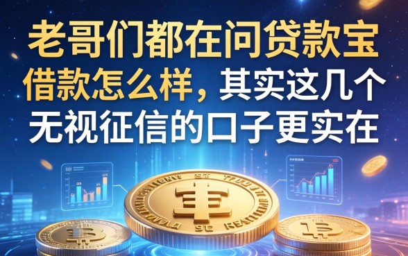 老哥们都在问贷款宝借款怎么样，其实这几个无视征信的口子更实在