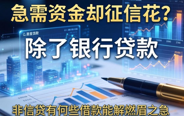急需资金却征信花？除了银行贷款，非信贷有哪些借款能解燃眉之急？