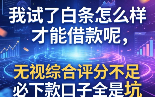 我试了白条怎么样才能借款呢，发现无视综合评分不足必下款口子全是坑