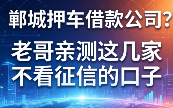 郸城押车借款公司有哪些？老哥亲测这几家不看征信的口子