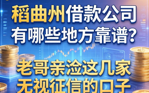 稻城县借款公司有哪些地方靠谱？老哥亲测这几家无视征信的口子
