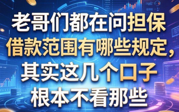 老哥们都在问担保借款范围有哪些规定，其实这几个口子根本不看那些