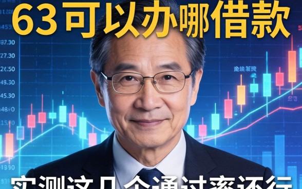 63岁可以办的借款有哪些，实测这几个通过率还行