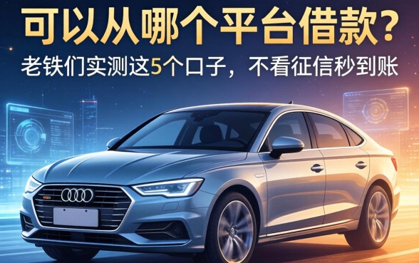 车可以从哪个平台借款？老铁们实测这5个口子，不看征信秒到账