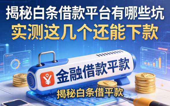 揭秘白条借款平台有哪些坑,实测这几个还能下款
