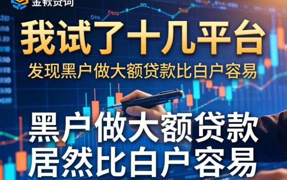 我试了十几个平台，发现黑户做大额贷款居然比白户容易