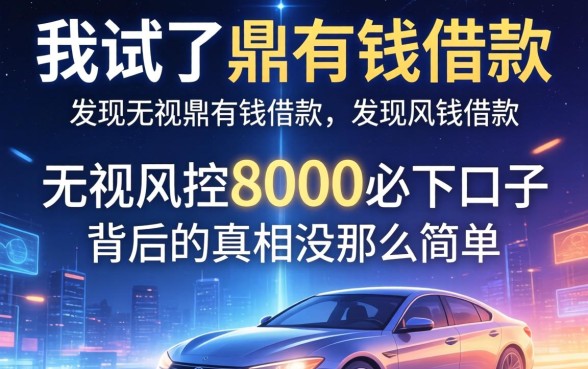 我试了鼎有钱借款，发现无视风控8000必下口子背后的真相没那么简单