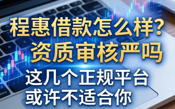 程惠借款怎么样?资质审核严吗?这几个正规平台或许更适合你