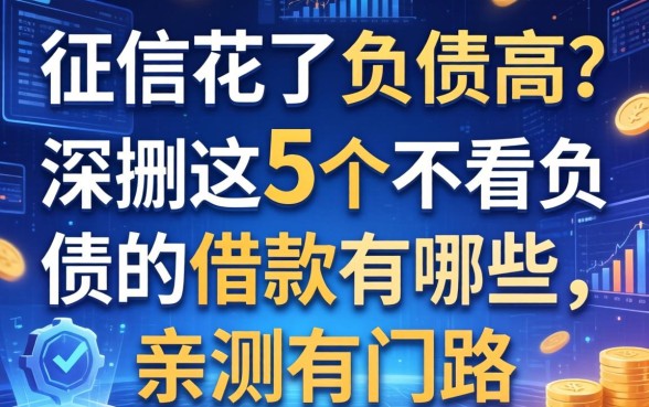 征信花了负债高？深扒这5个不看负债的借款有哪些，亲测有门路