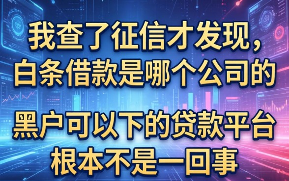 我查了征信才发现，白条借款是哪个公司的和黑户可以下的贷款平台根本不是一回事