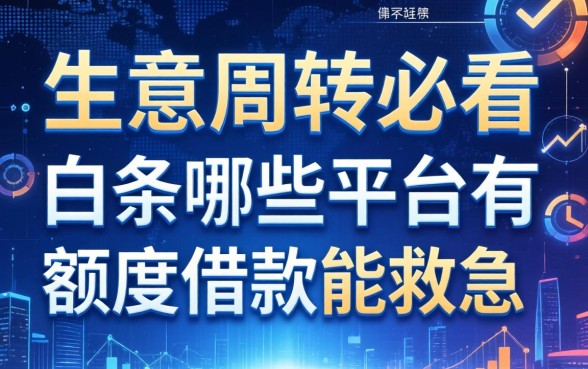 生意周转必看：白条哪些平台有额度借款能救急