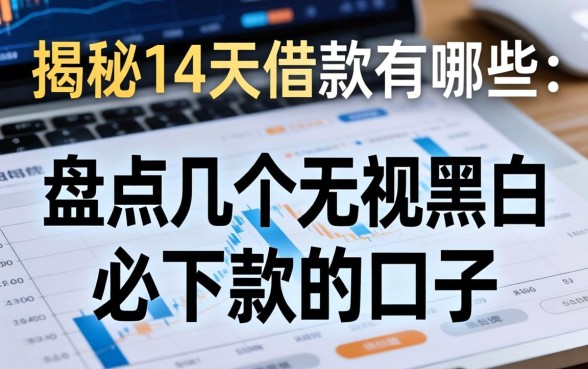 揭秘14天借款有哪些：盘点几个无视黑白必下款的口子
