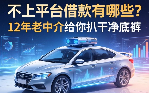 不上平台的借款有哪些？12年老中介给你扒干净底裤