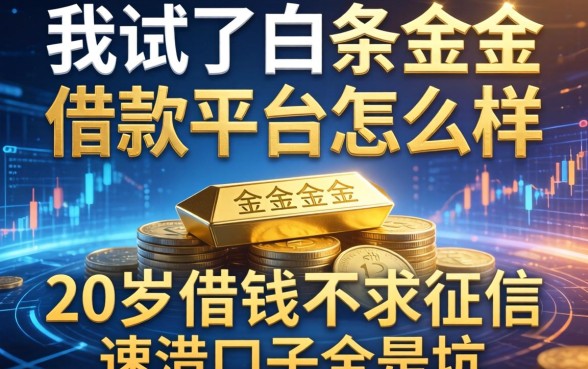 我试了白条金条借款平台怎么样，发现那些20岁借钱不求征信速借口子全是坑