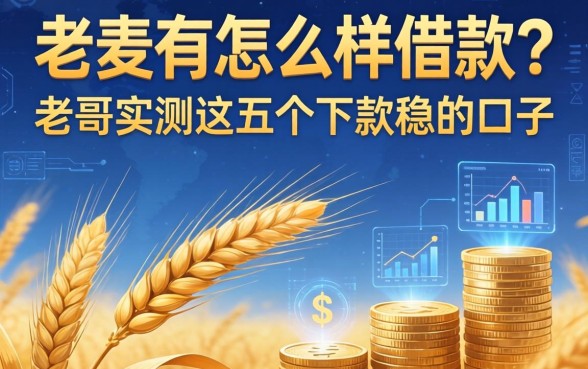 大麦有怎么样借款？老哥实测这五个下款稳的口子