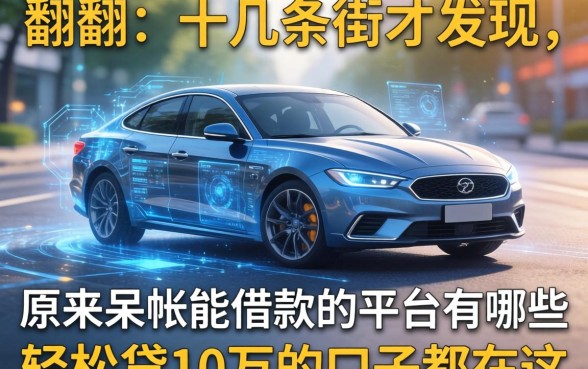 我翻了十几条街才发现，原来呆帐能借款的平台有哪些和轻松贷10万的口子都在这