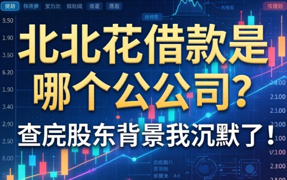 北北花借款是哪个公司的？查完股东背景我沉默了
