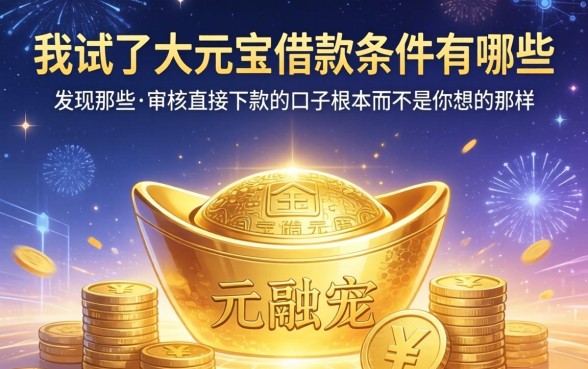 我试了大元宝借款条件有哪些，发现那些不审核直接下款的口子根本不是你想的那样
