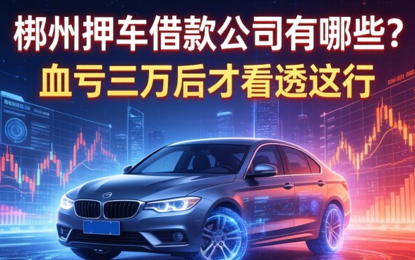 郴州押车借款公司有哪些？我血亏三万后才看透这行
