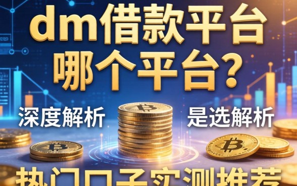 dm借款平台是哪个平台？深度解析与热门口子实测推荐