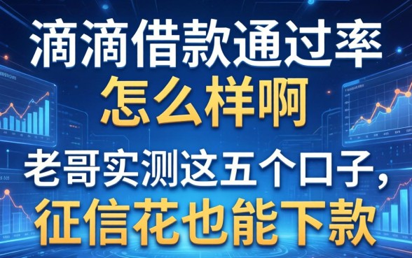 滴滴借款通过率怎么样啊?老哥实测这五个口子,征信花也能下款