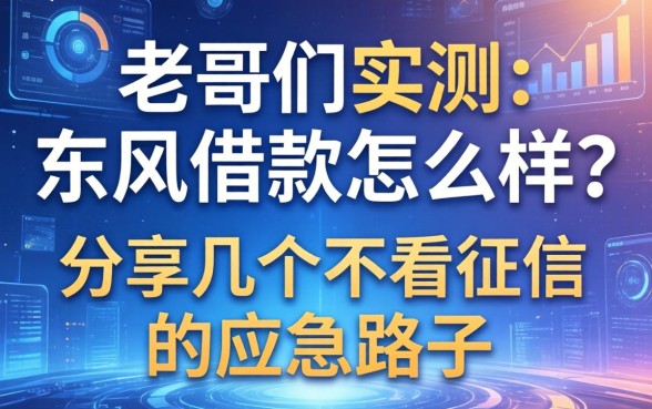老哥们实测：东风借款怎么样？分享几个不看征信的应急路子