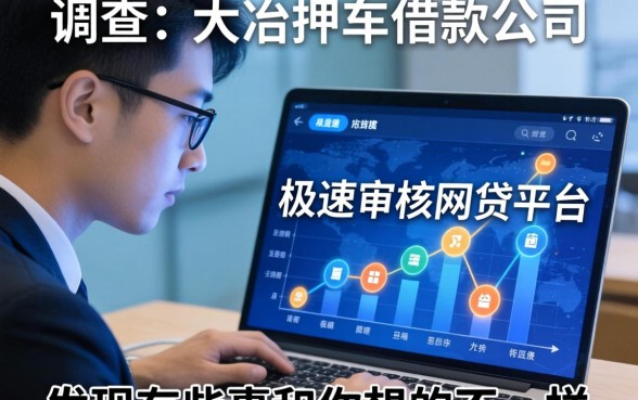 我调查了大冶押车借款公司和极速审核的网贷平台，发现有些事和你想的不一样