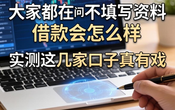 大家都在问不填写资料借款会怎么样，实测这几家口子真有戏